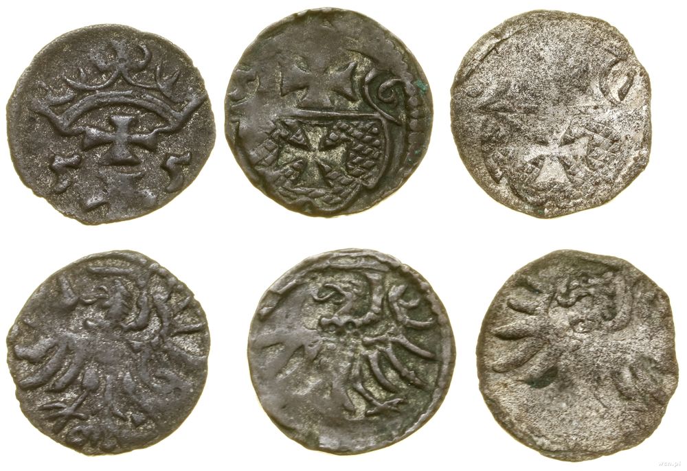 Polska, zestaw 3 denarów, 1555–1557