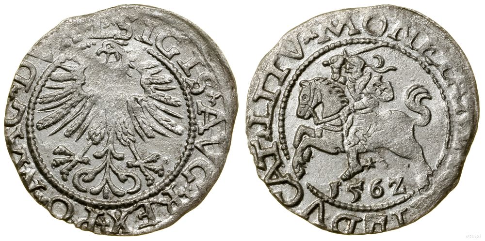 Polska, półgrosz litewski, 1562