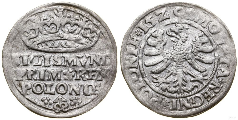 Polska, grosz, 1529