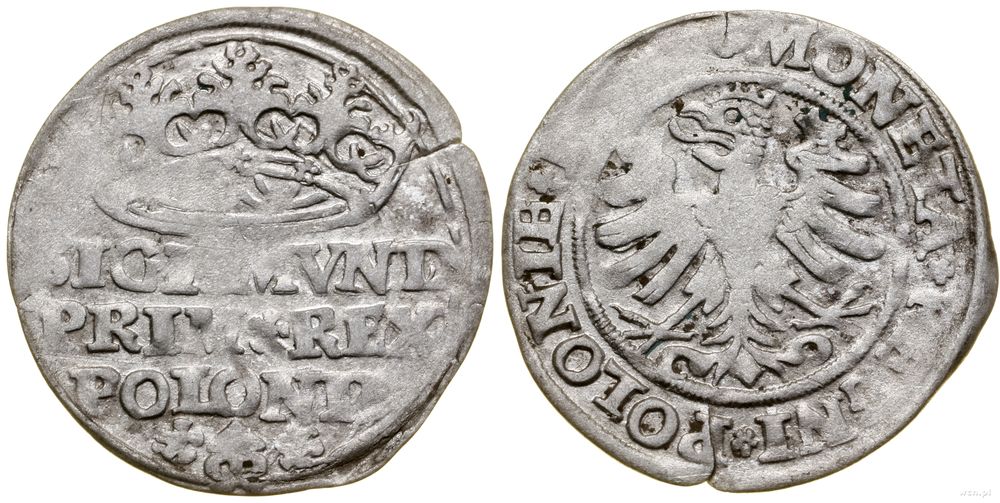 Polska, grosz, data niewidoczna (1527?)