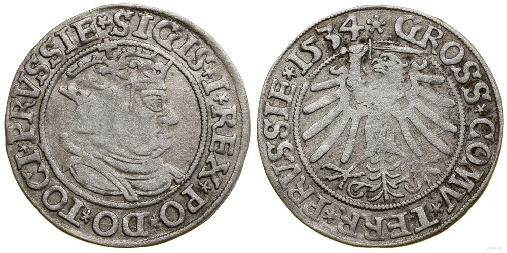 Polska, grosz, 1534
