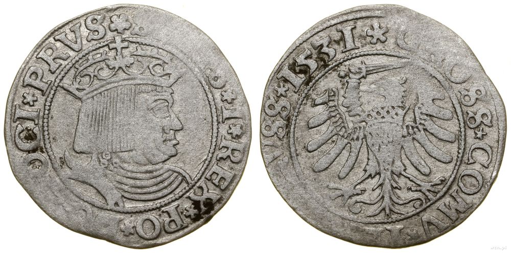 Polska, grosz, 1531