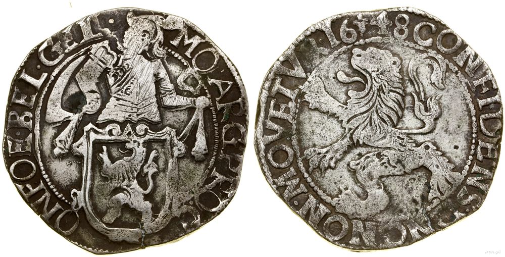 Niderlandy, talar lewkowy (Leeuwendaalder), 1648