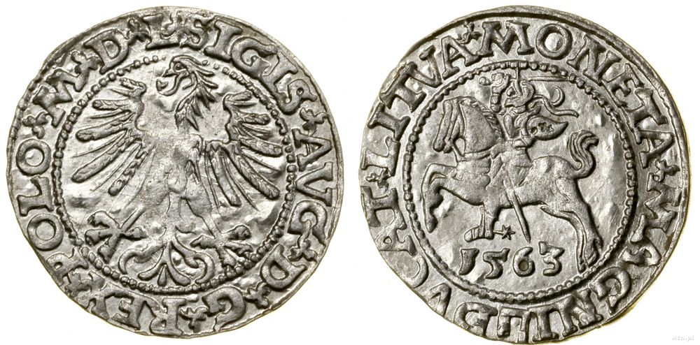 Polska, półgrosz, 1563