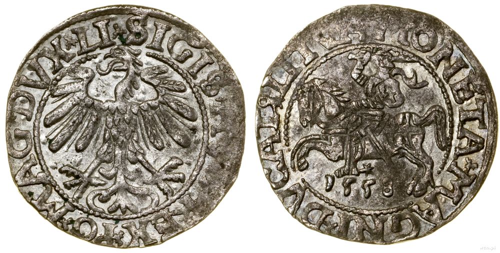 Polska, półgrosz, 1558