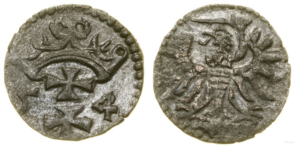 Polska, denar, 1554