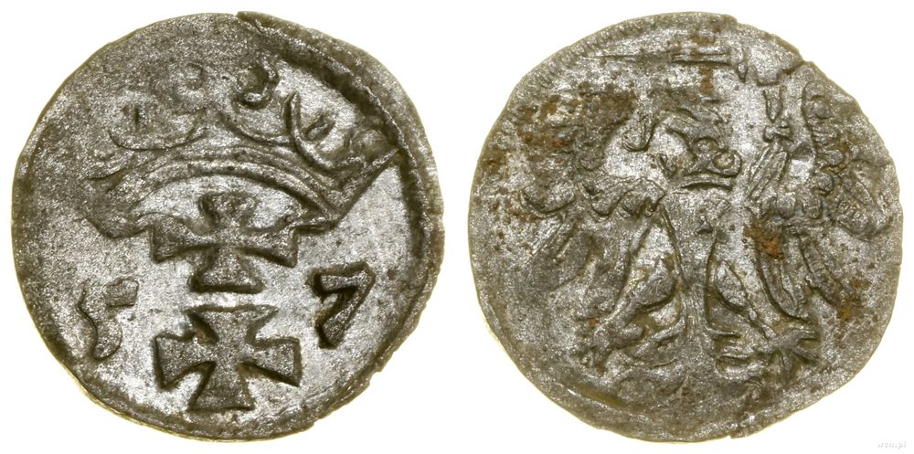 Polska, denar, 1557