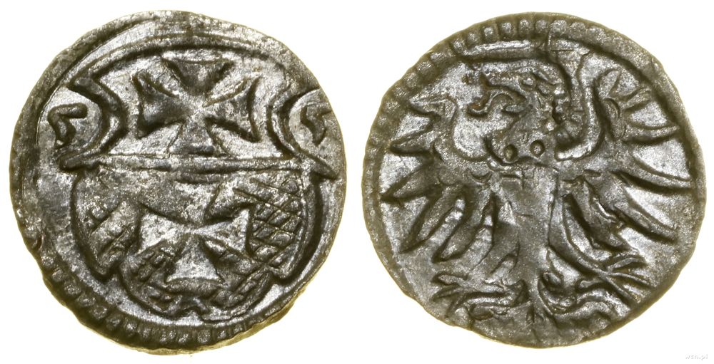 Polska, denar, 1555