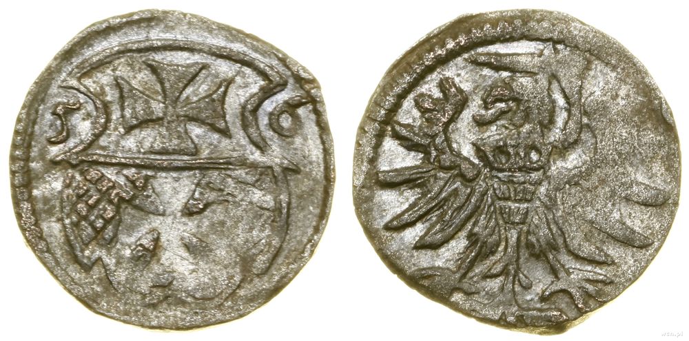 Polska, denar, 1556