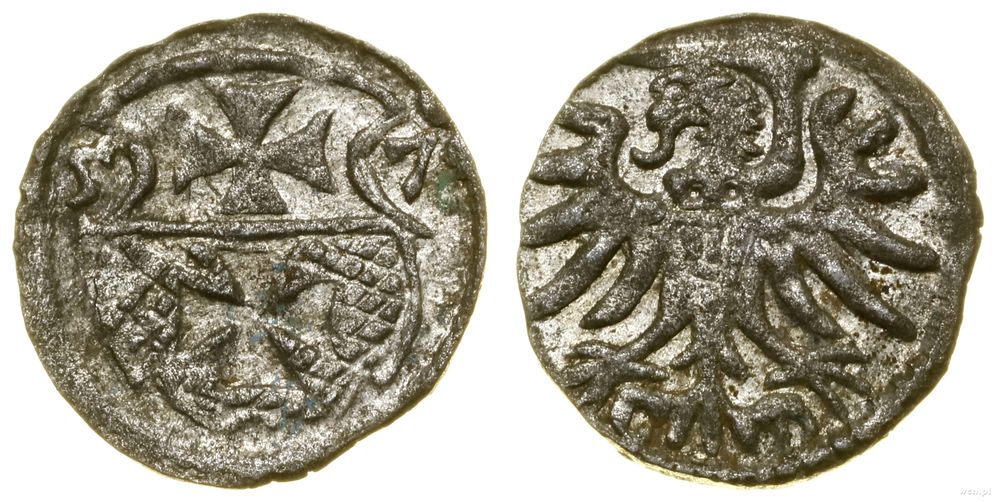 Polska, denar, 1557
