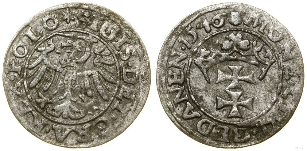 Polska, szeląg, 1546