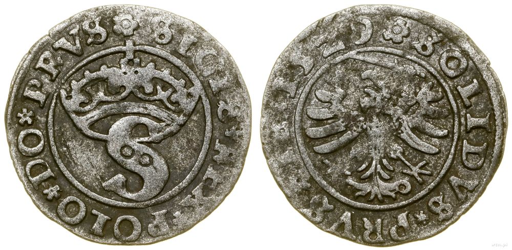 Polska, szeląg, 1529