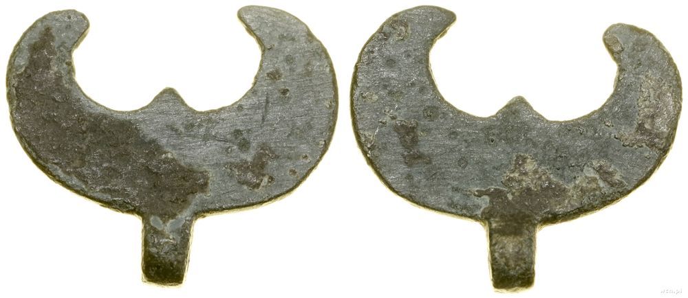 Dewocjonalia, lunula