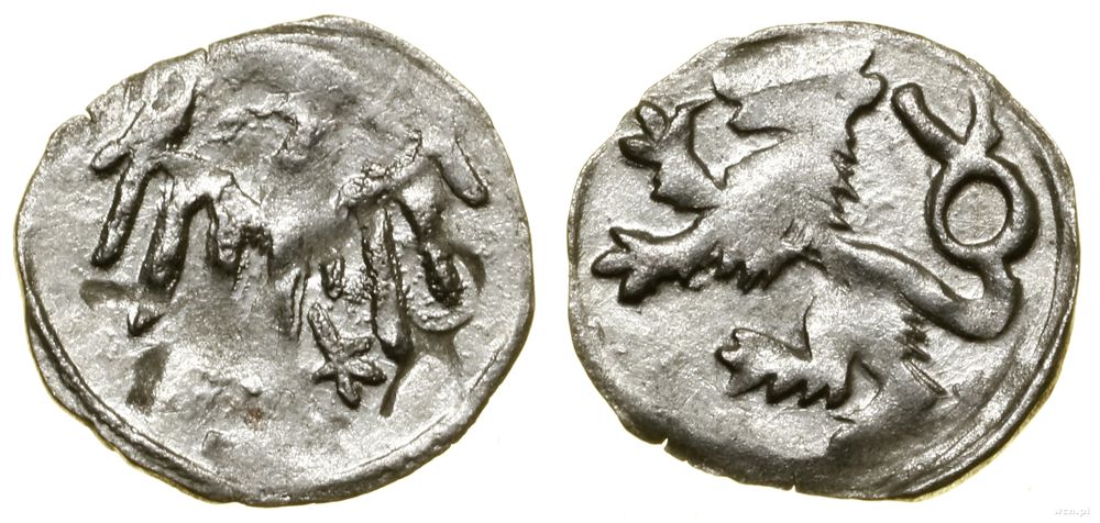 Śląsk, halerz na stopę wrocławską, (1457–1465)