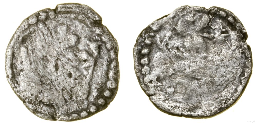 Polska, denar kujawski, (ok. 1320)