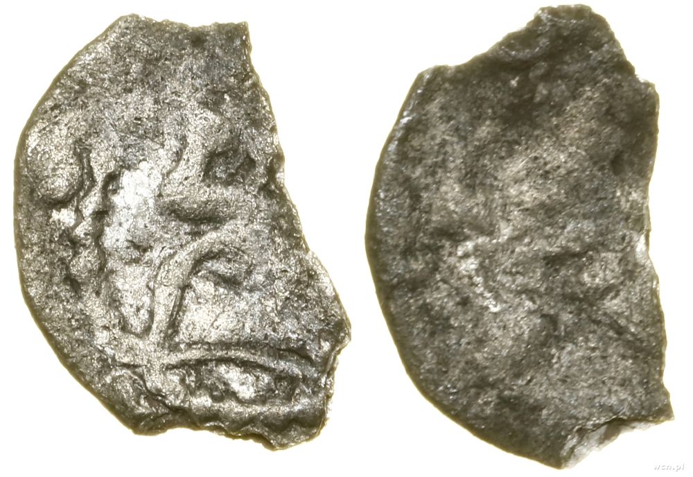 Polska, denar – zachowane ok. 50% monety