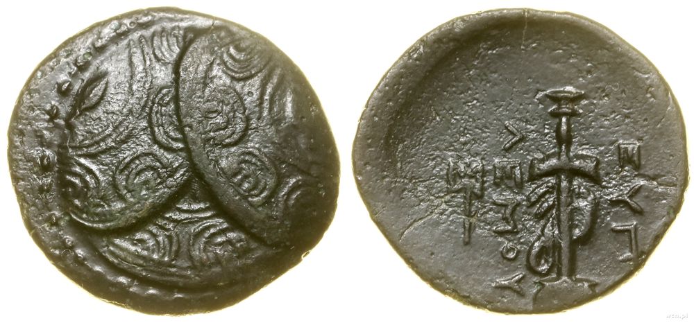 Grecja i posthellenistyczne, brąz, (ok. 315–311 pne)