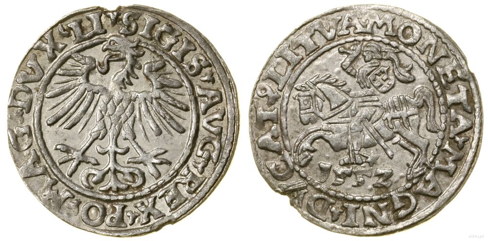 Polska, półgrosz, 1552