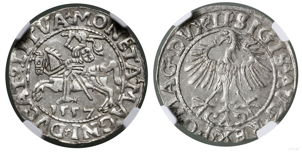 Polska, półgrosz, 1557