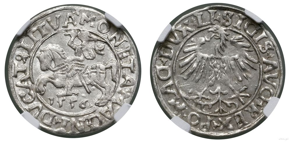 Polska, półgrosz, 1556