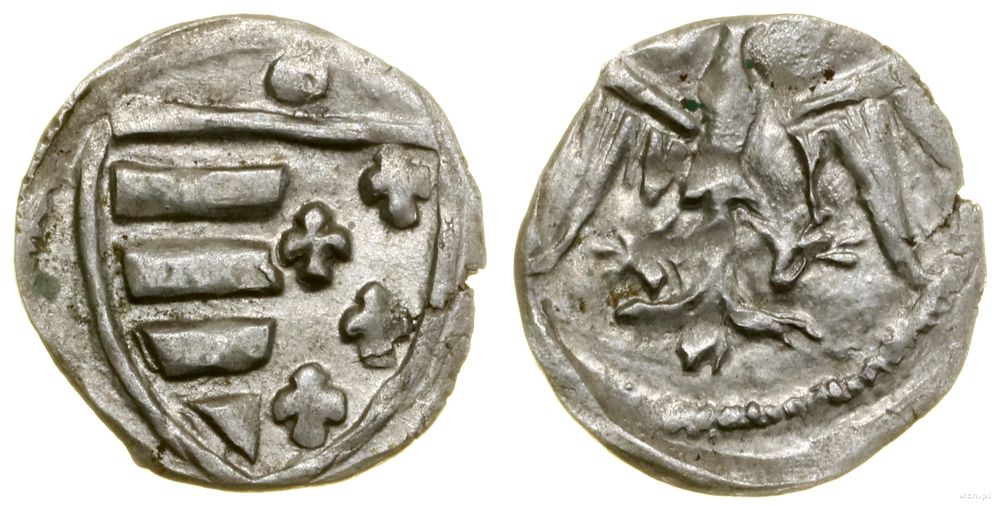Polska, denar koronny, (1370–1382)