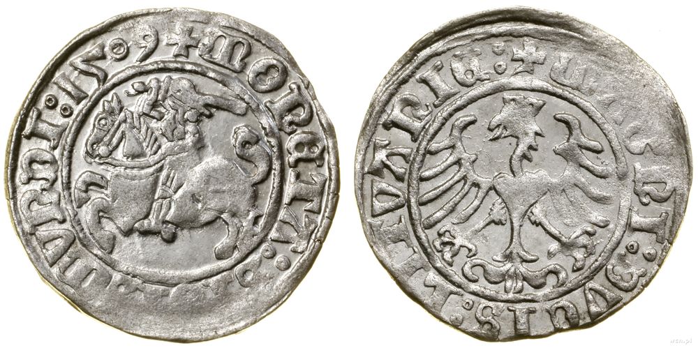 Polska, półgrosz, 1509