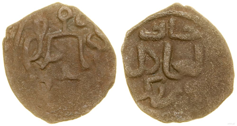 Złota Orda, puło, 725 AH (1327)