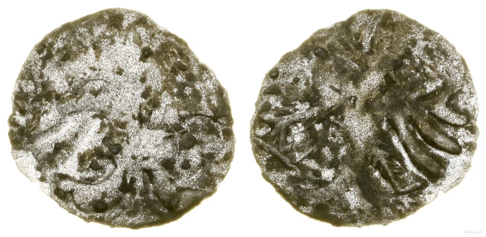 Śląsk, halerz, (1482–1509)