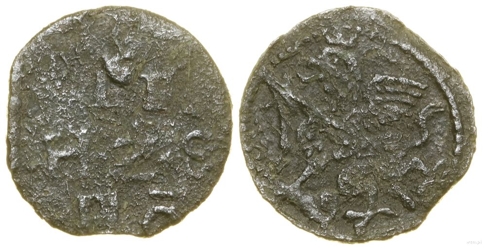 Pomorze, szerf (fenig), 1591