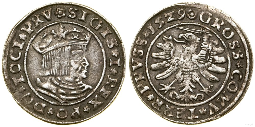 Polska, grosz, 1529