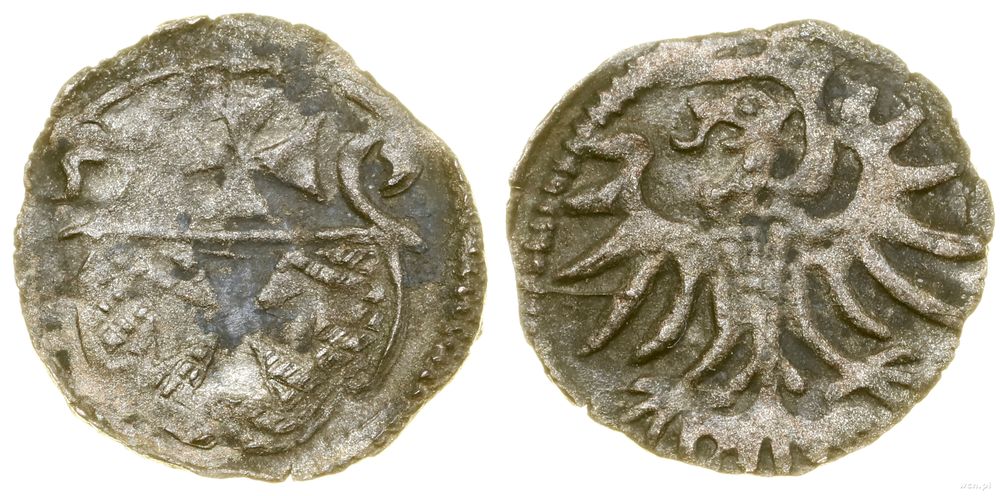 Polska, denar, 1555