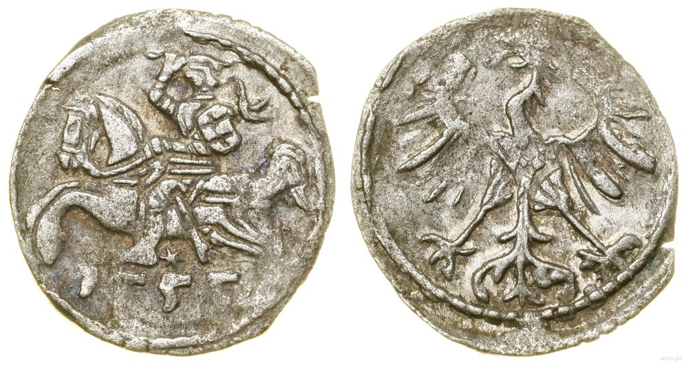 Polska, denar, 1555