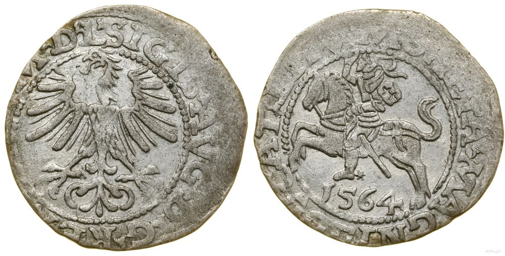 Polska, półgrosz, 1564