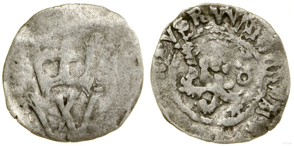 Śląsk, halerz, bez daty (1512–1516)