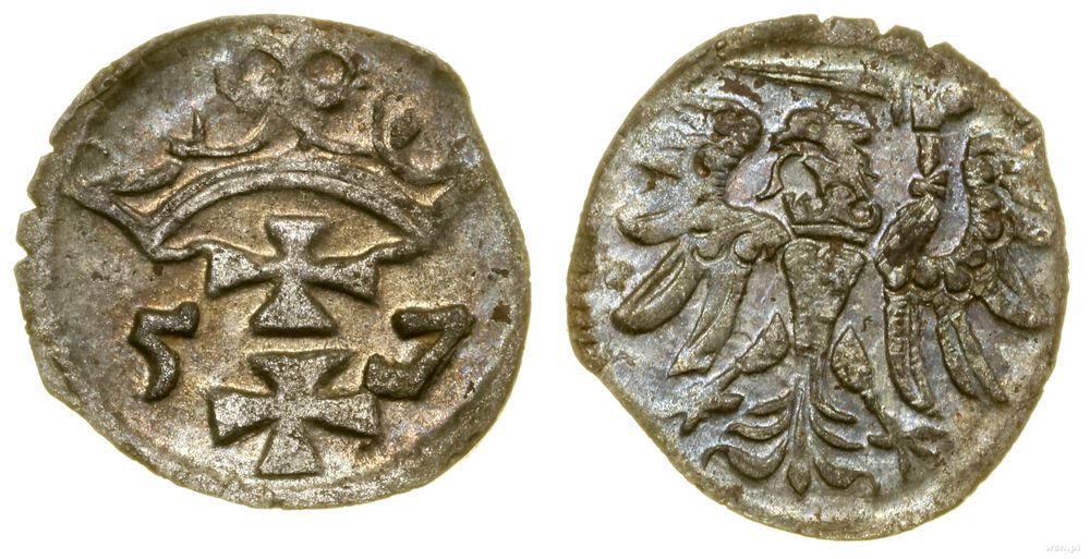 Polska, denar, 1557