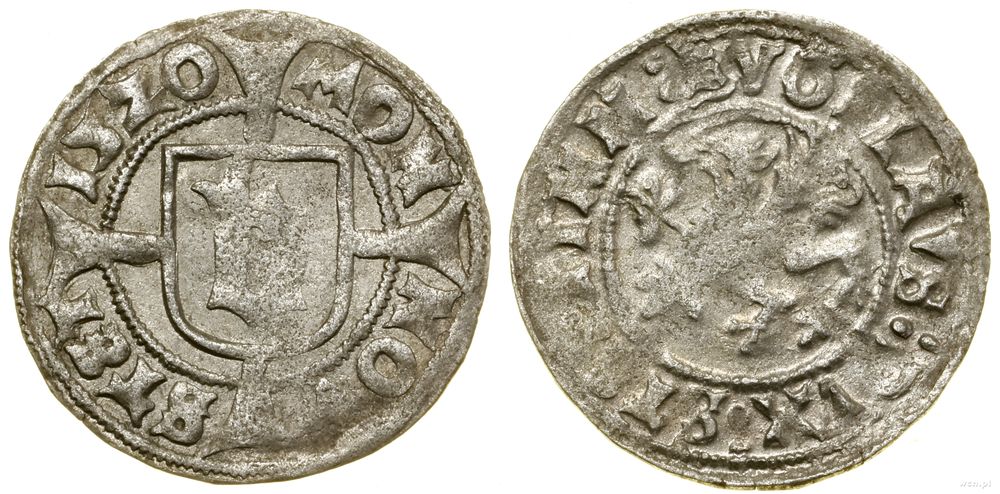 Pomorze, witten, 1520