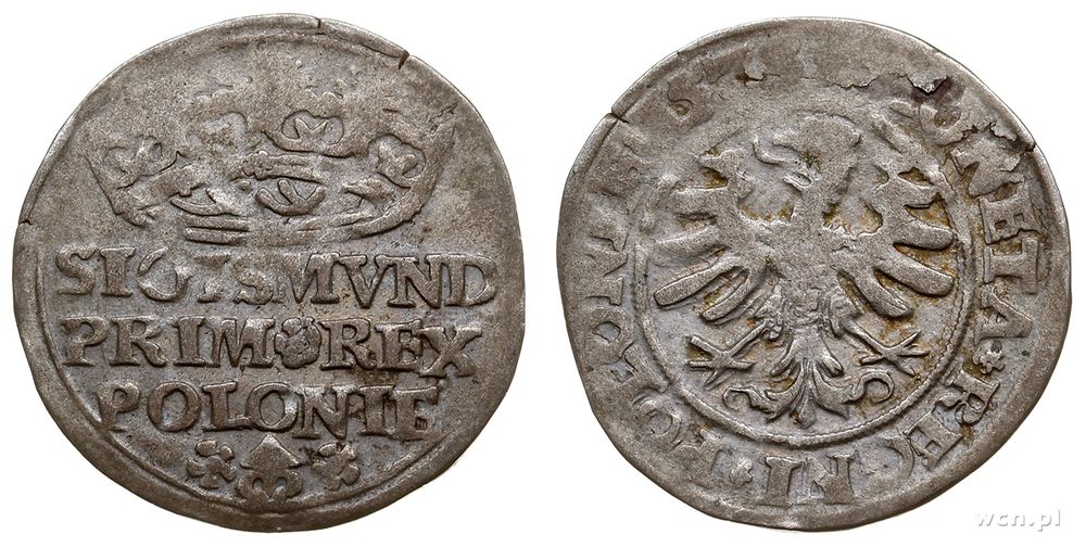 Polska, grosz, 1528