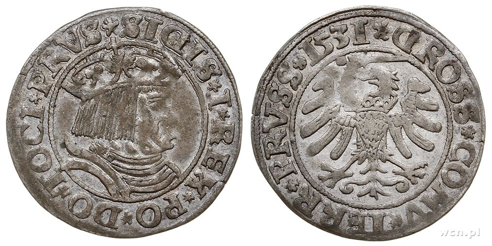 Polska, grosz, 1531
