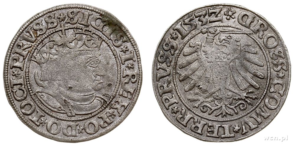 Polska, grosz, 1532