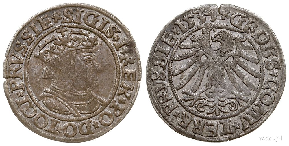 Polska, grosz, 1534