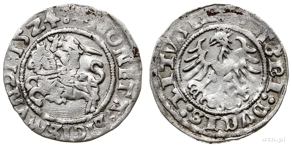 Polska, półgrosz, 1524