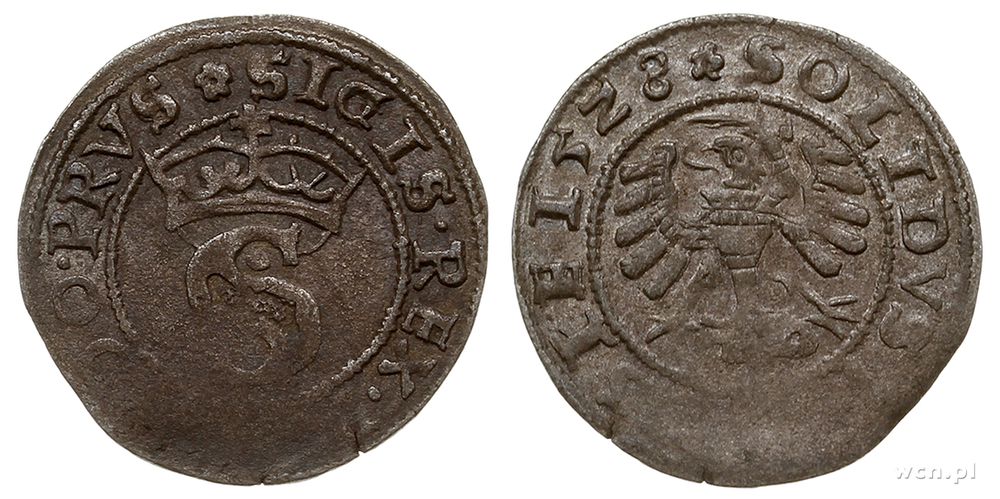 Polska, szeląg, 1528