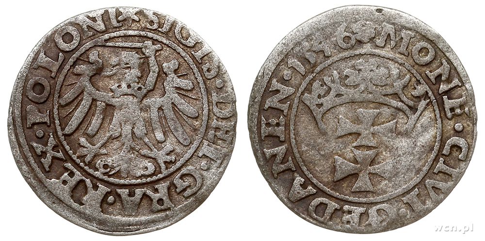 Polska, szeląg, 1546