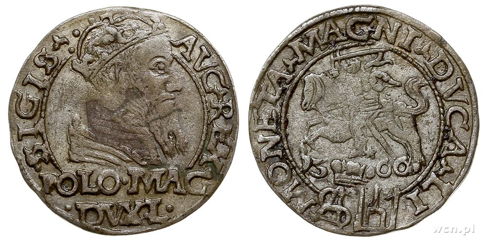 Polska, grosz na stopę polską, 1566