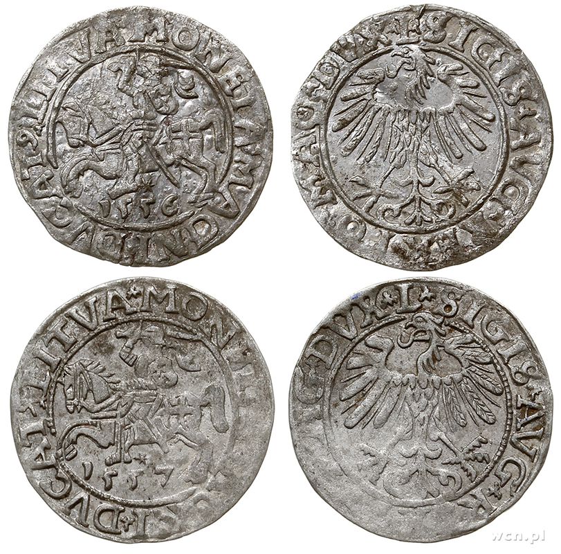 Polska, zestaw półgroszy litewskich, 1556, 1557