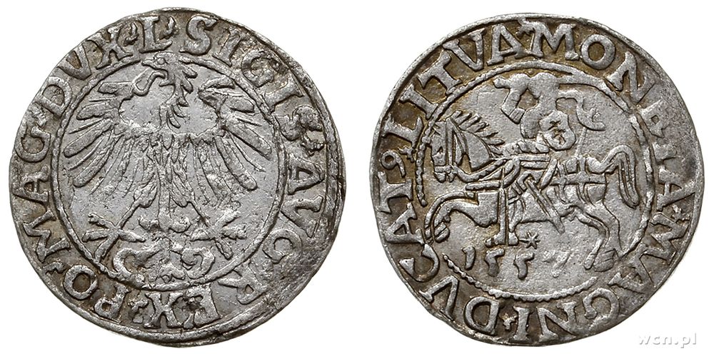 Polska, półgrosz, 1557