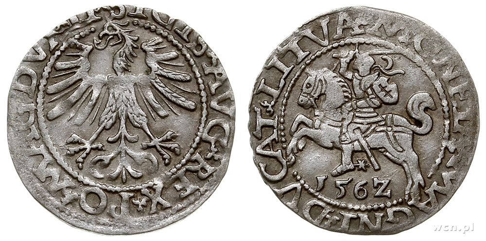 Polska, półgrosz, 1562