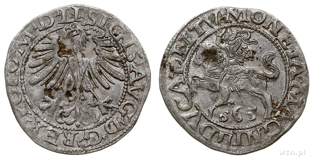 Polska, półgrosz, 1565