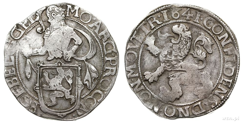 Niderlandy, talar lewkowy, 1641