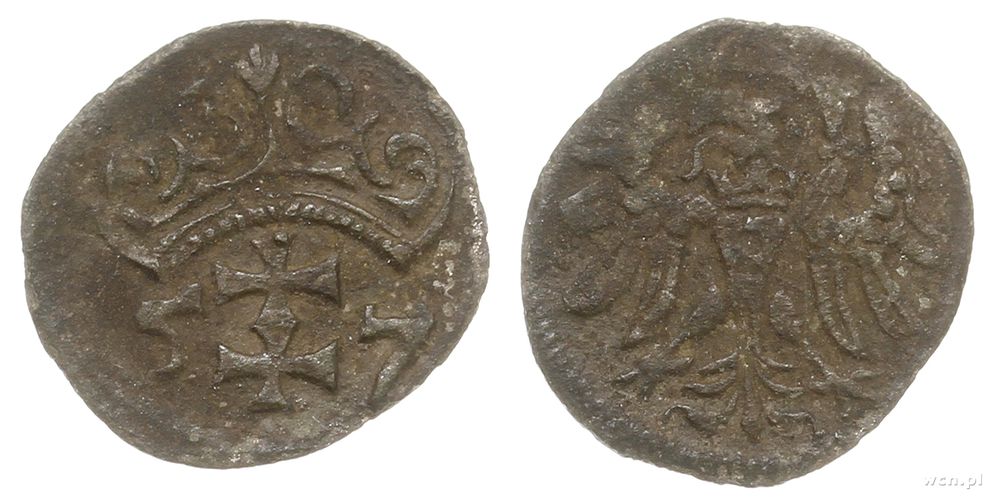 Polska, denar, 1557